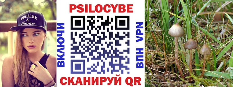hydra рабочий сайт  Ленск  Псилоцибиновые грибы Cubensis 